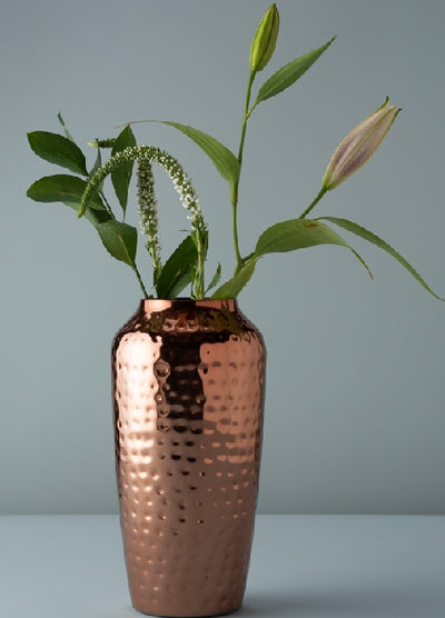 The Role of Copper in Indian Traditional Medicine and Ayurveda