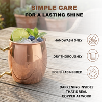 A copper Moscow mule mug filled with ice, lime, and blueberries on a wooden table, with care instructions overlaid stating handwash, dry, and polish.